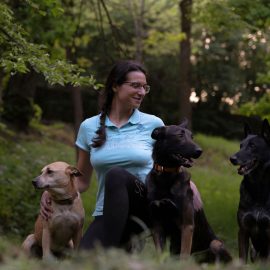 Featured author image: O altfel de plimbare cu câini prin parc la Sibiu – Inițiativa a fost un succes